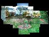 Garden_1